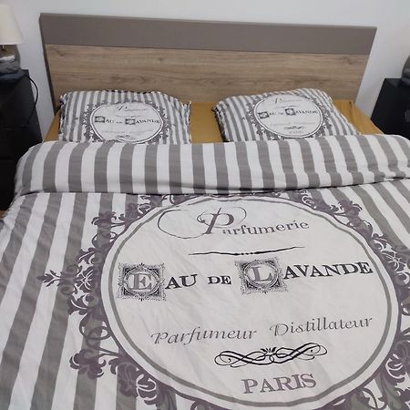 Grand Appartement Chaleureux Mirebeau-sur-Beze Bagian luar foto