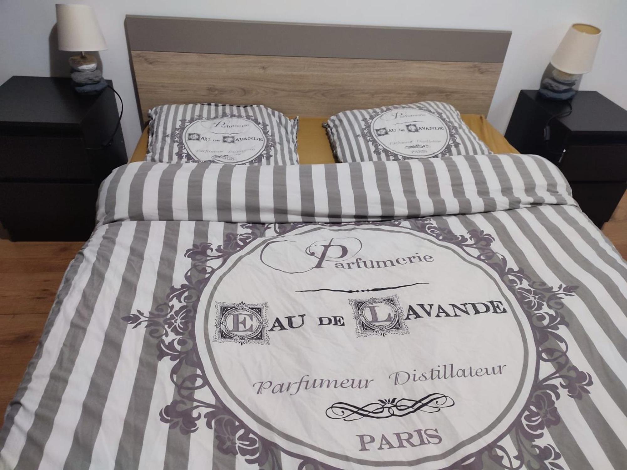 Grand Appartement Chaleureux Mirebeau-sur-Beze Bagian luar foto